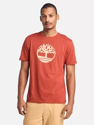 T-shirt Timberland